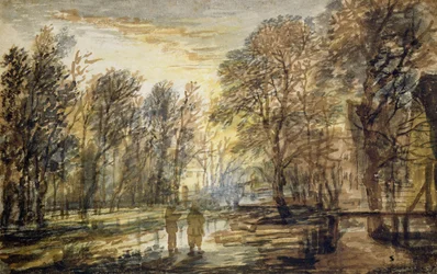 Sonnenuntergang im Wald